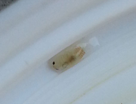 20130728_124343.jpg