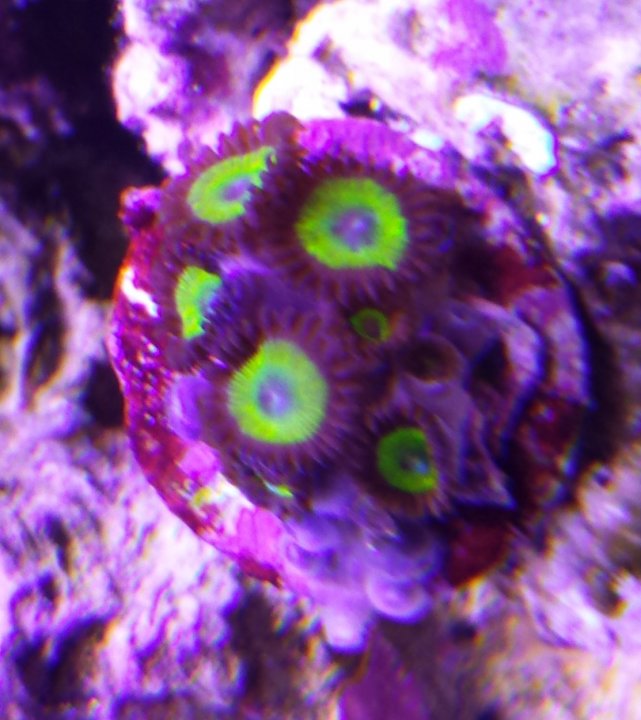20140130_165949.jpg