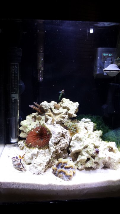 20140410_133007.jpg
