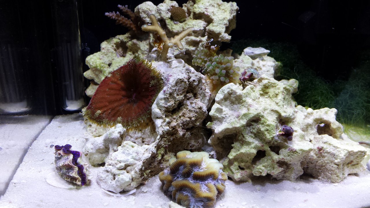 20140410_135654.jpg