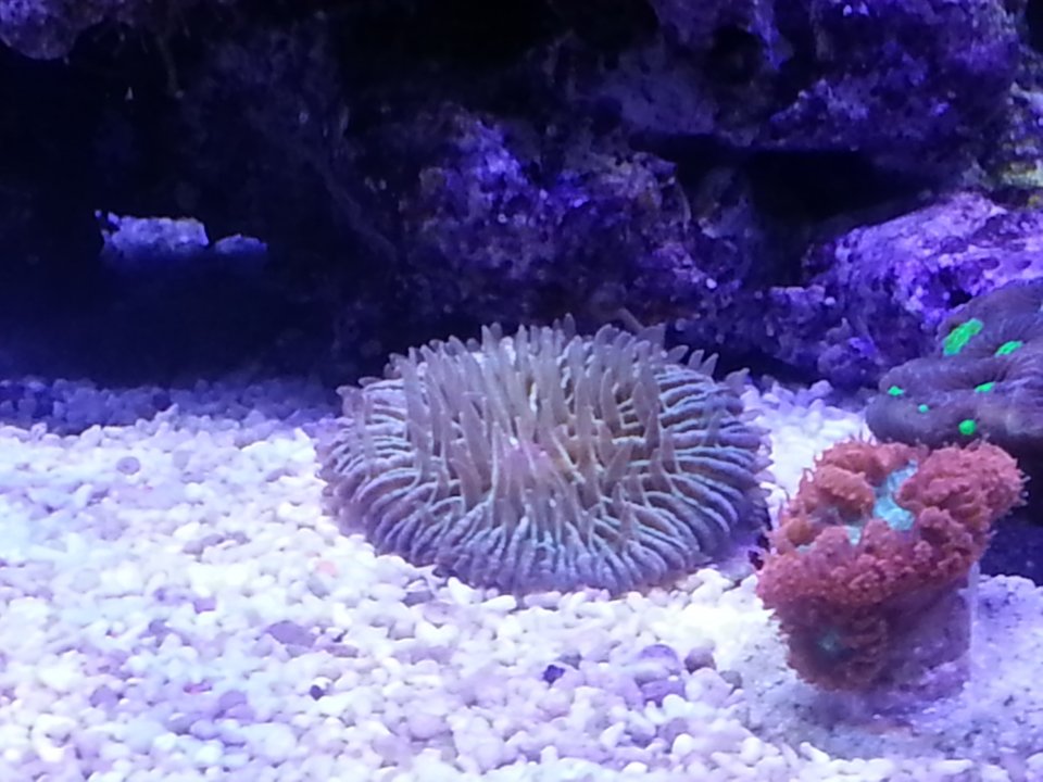 20140528_110517.jpg