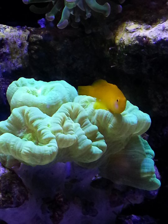 20140528_172726.jpg