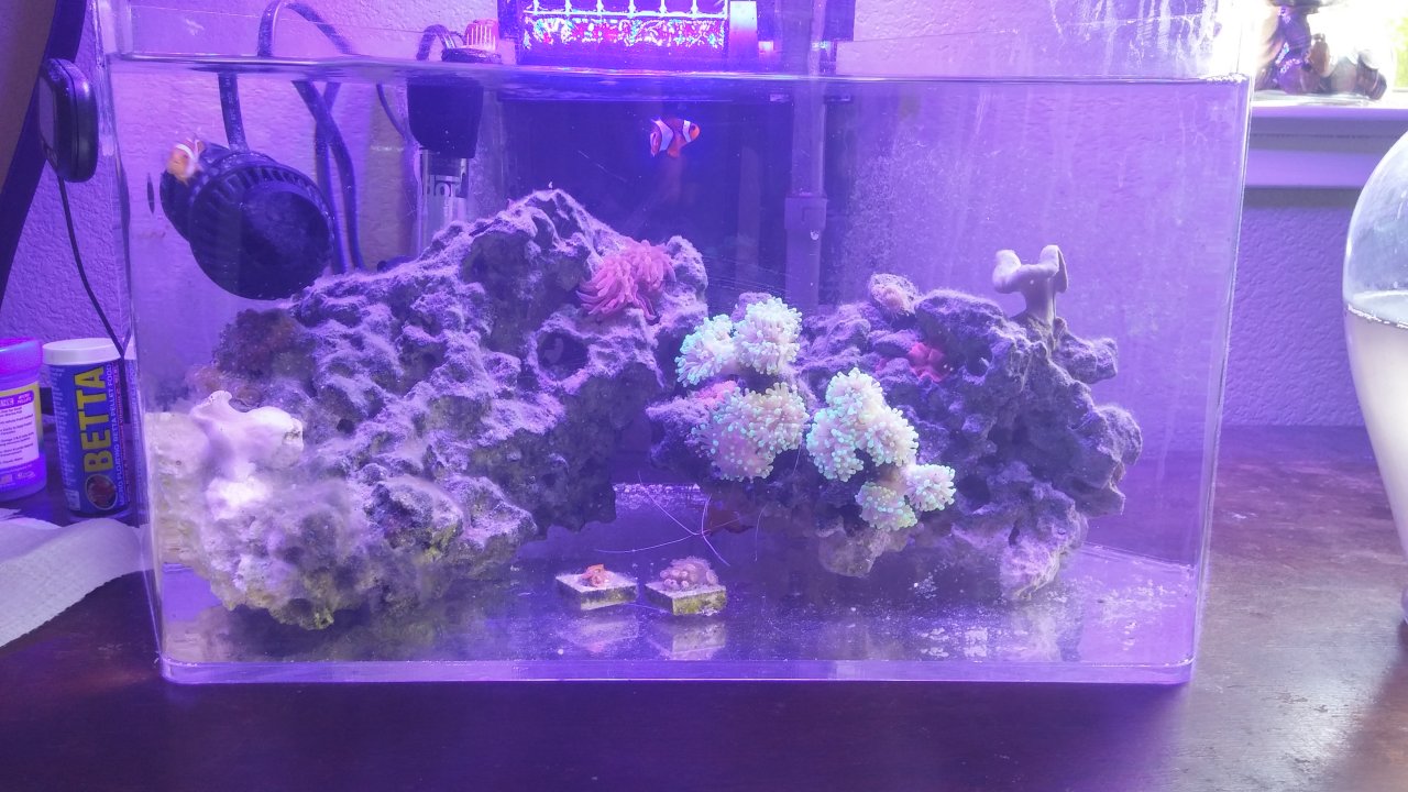 20140816_090630_HDR.jpg