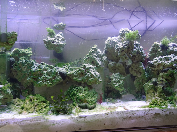 2015-02-24 11.58.08.jpg