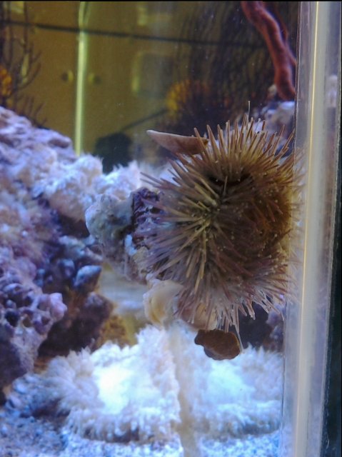 20150514_152028.jpg