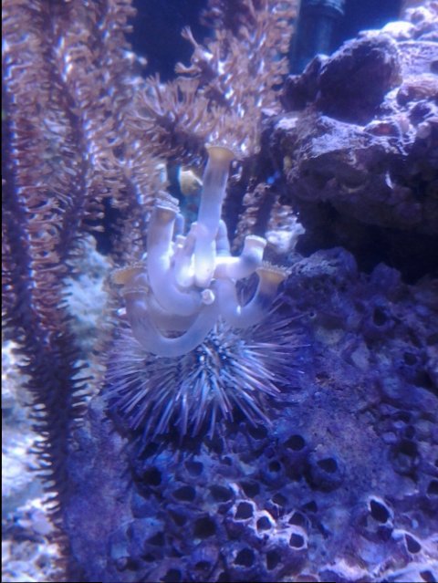 20150602_092115.jpg