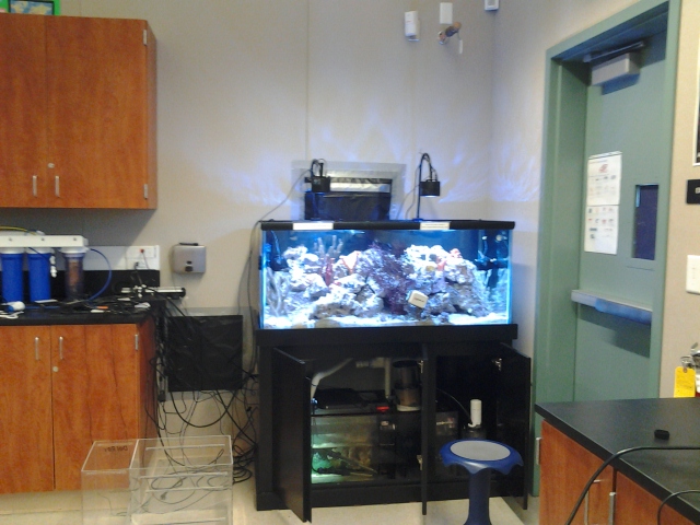 20150618_090921.jpg