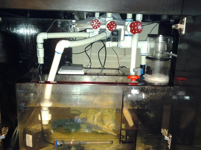 20150623_092625.jpg