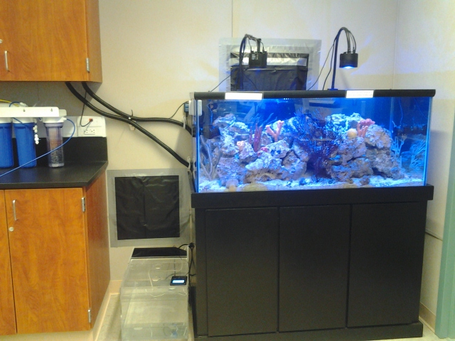 20150626_143014.jpg