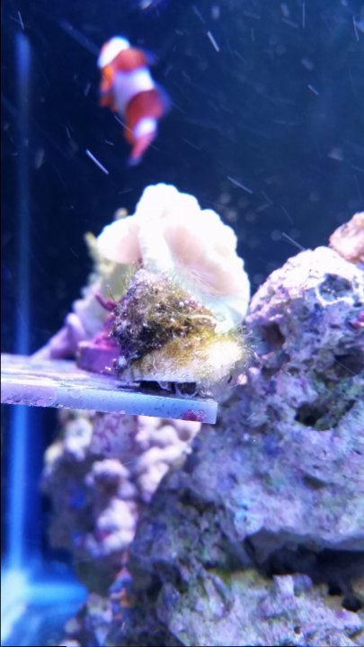 20150824_204546.jpg