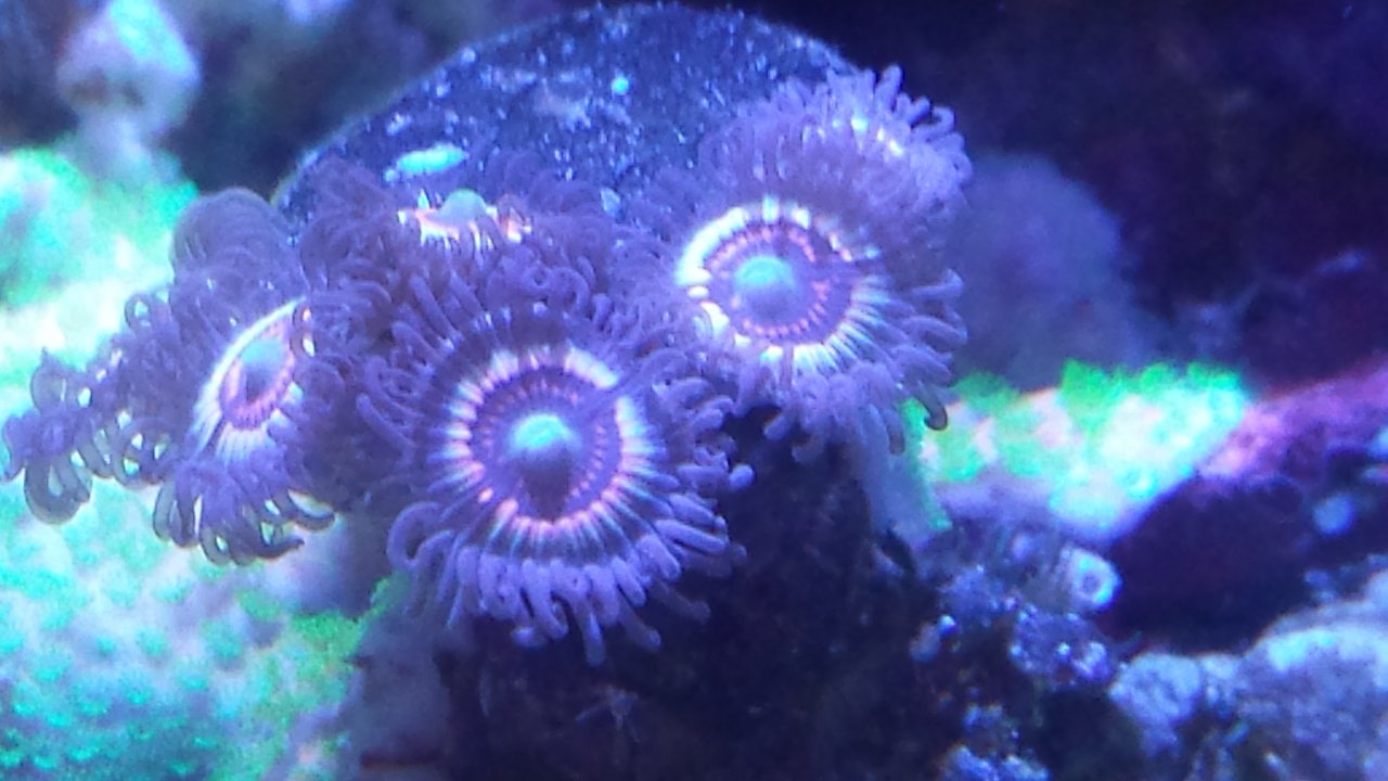 20150830_160755.jpg