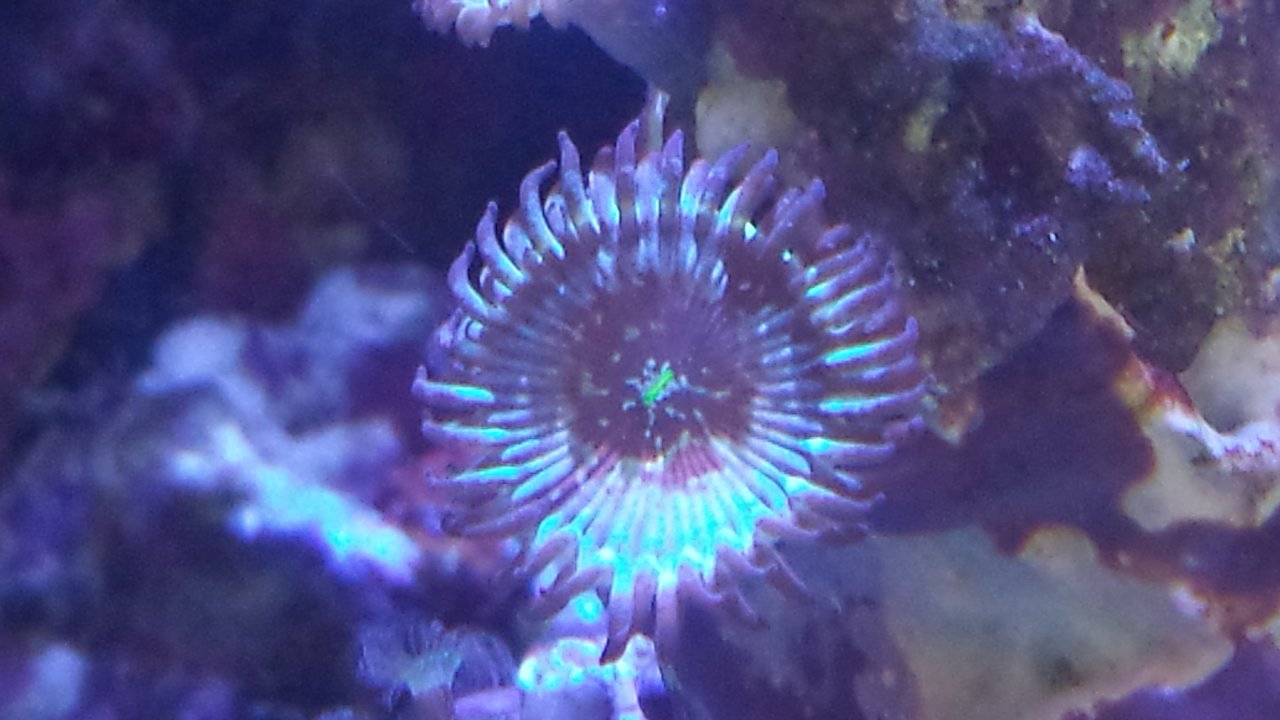 20150830_160840.jpg