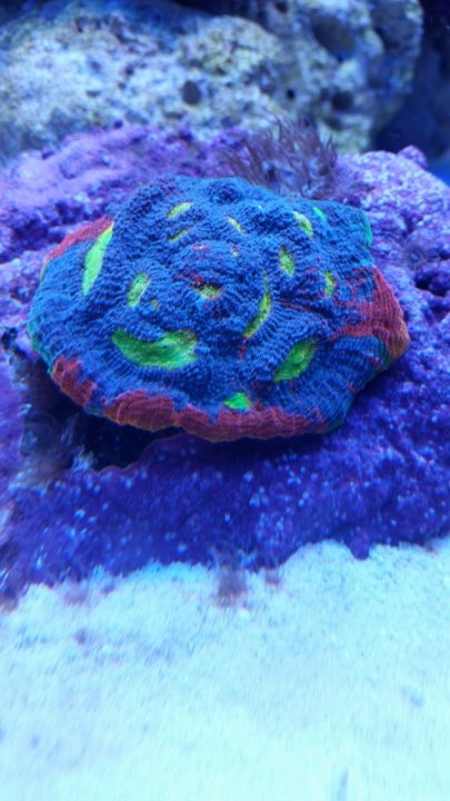 20160118_201327_v2.jpg