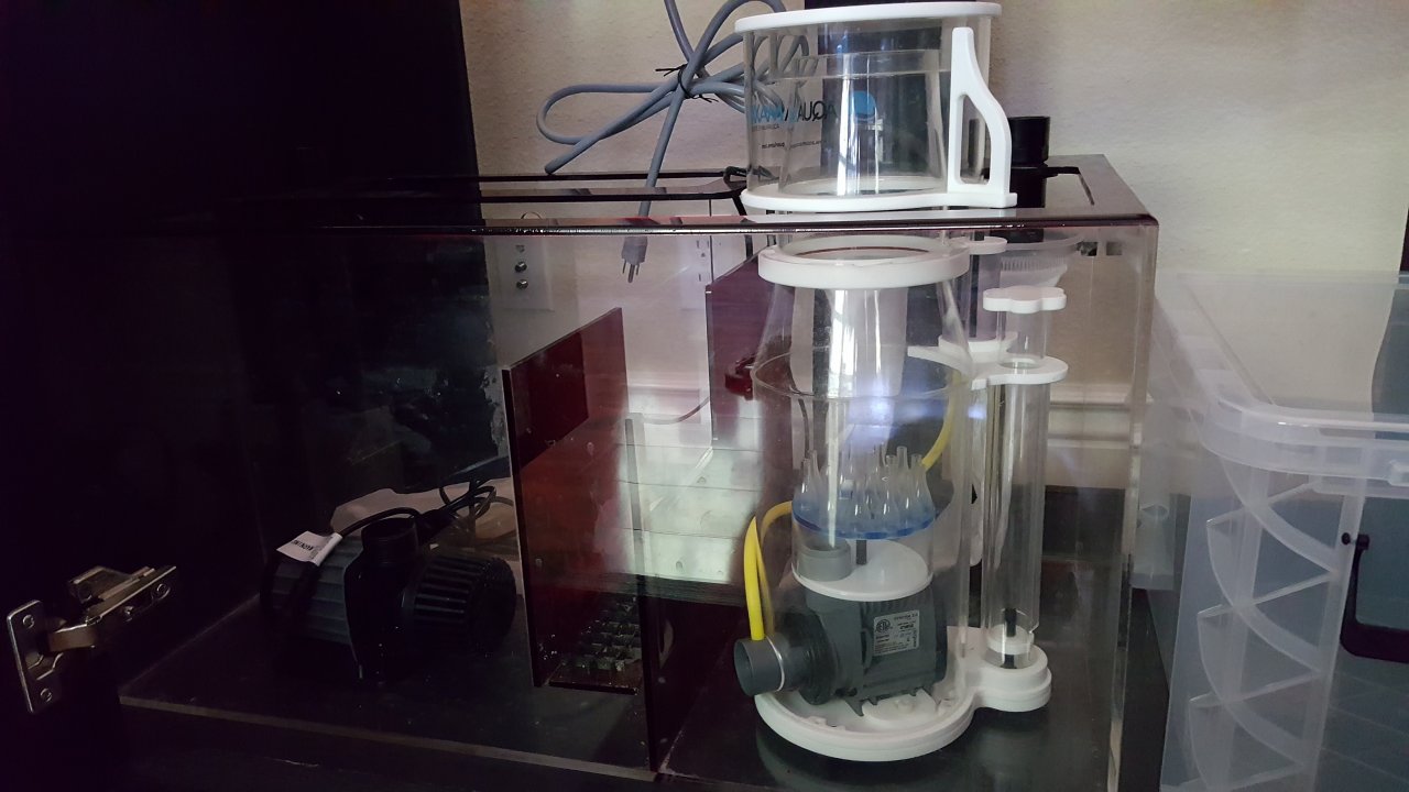 20160806_161946.jpg