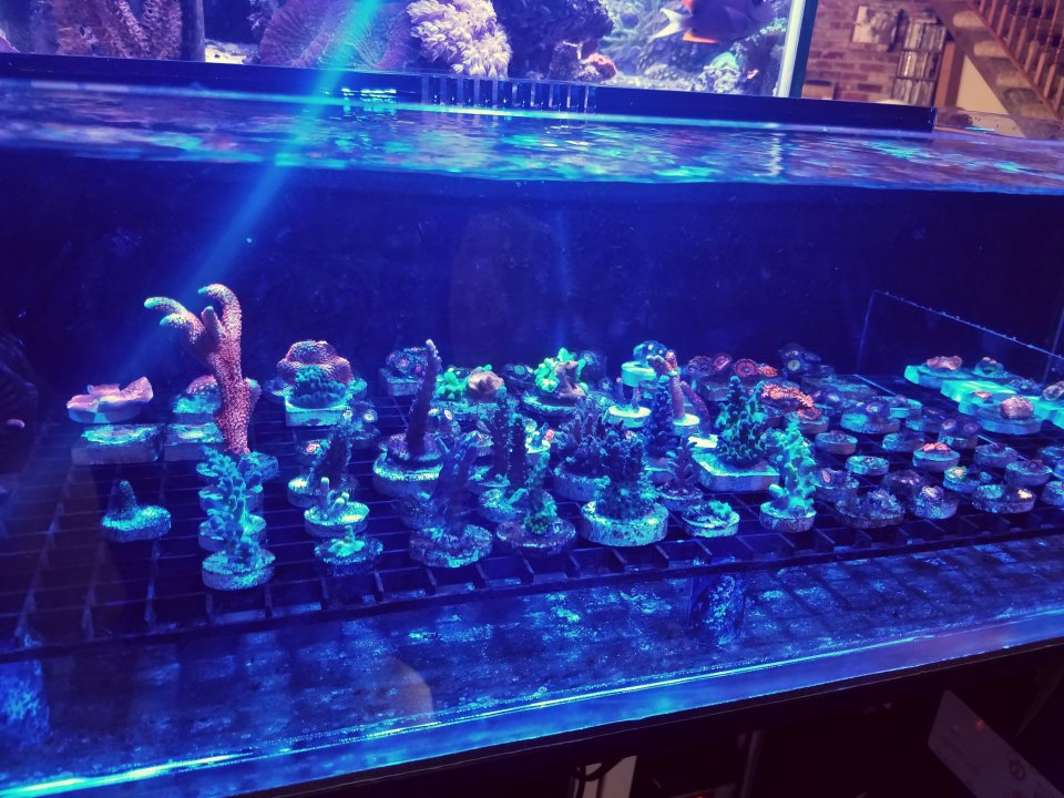 20160809_154819.jpg