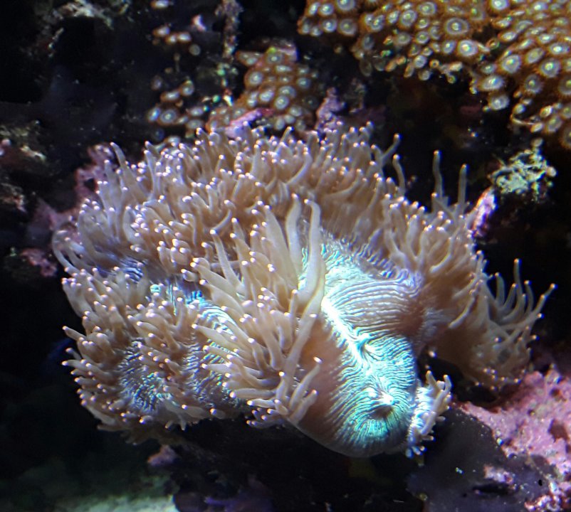 20170121_214147.jpg