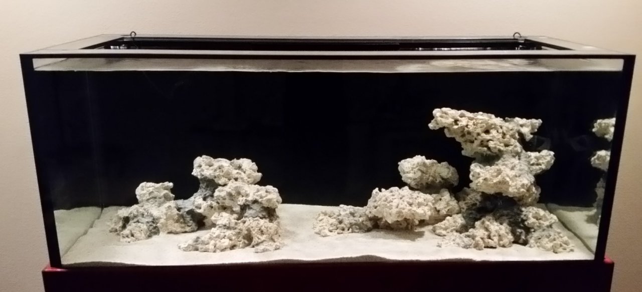 20170803_231935.jpg