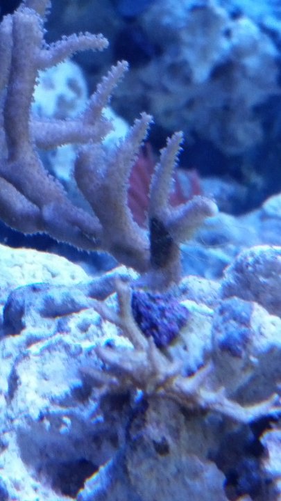 20171006_113915.jpg
