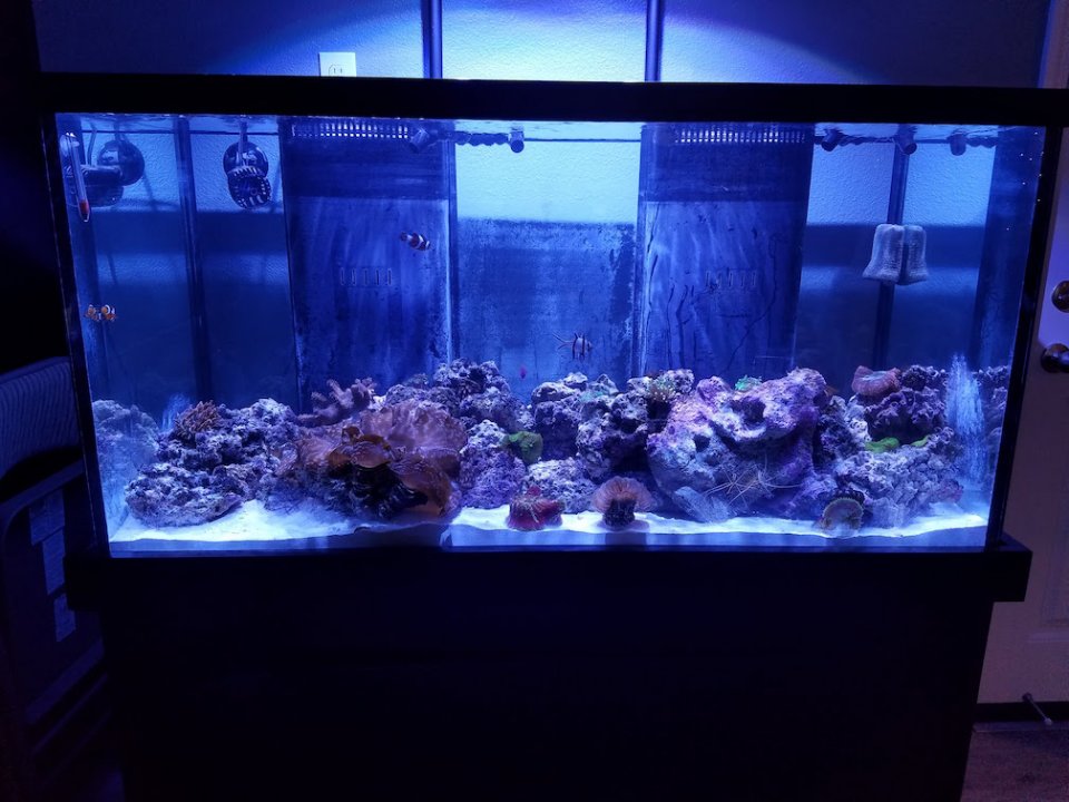 20171213_165213.jpg