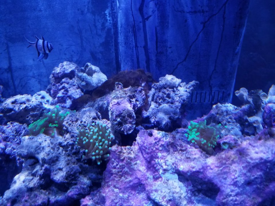 20171213_165223.jpg