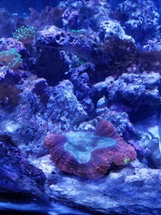 20171213_165240.jpg