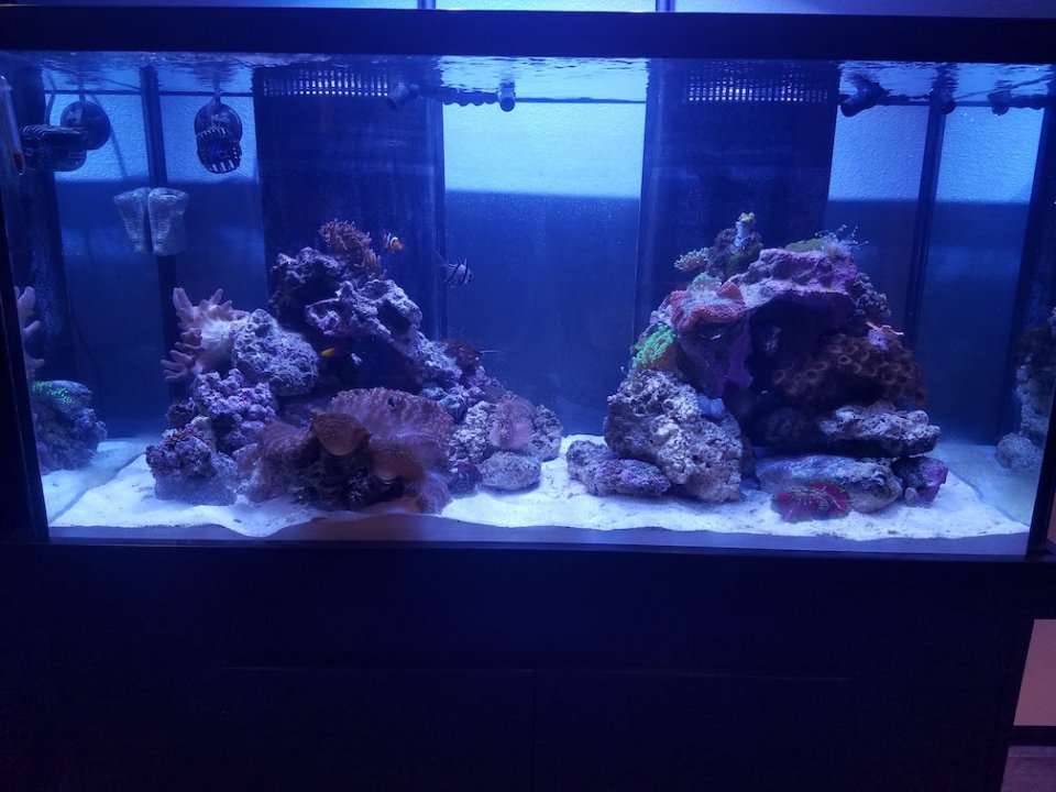 20171219_173253.jpg