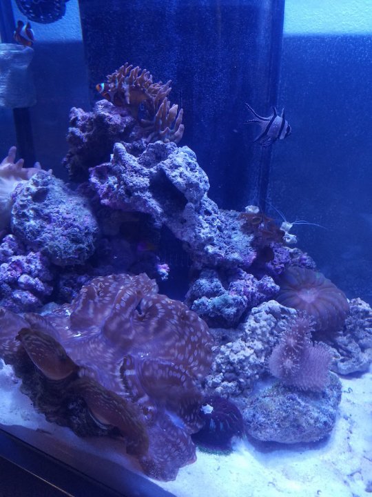 20171219_173308.jpg