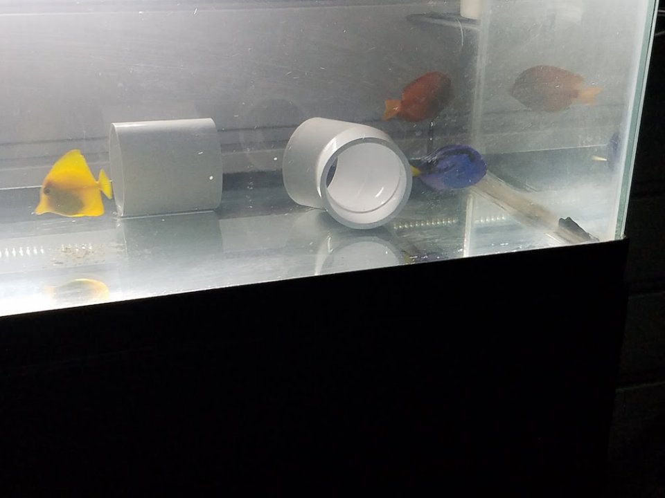 20171227_183513.jpg