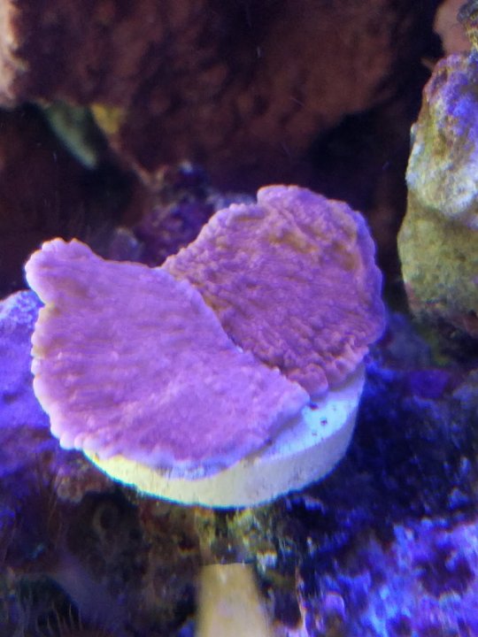 20171228_092232.jpg