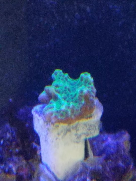 20171228_092257.jpg