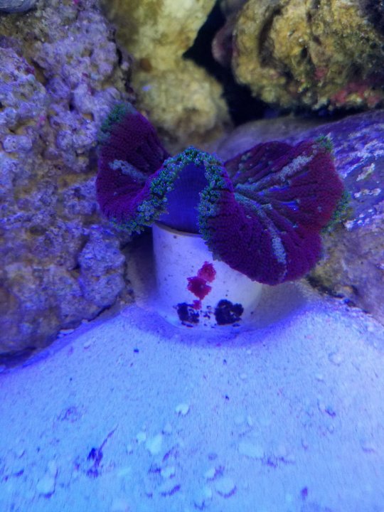 20180106_104356.jpg