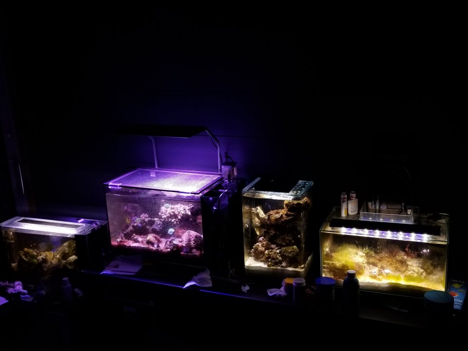 20180119_183841.jpg