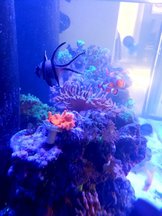 20180127_143138.jpg