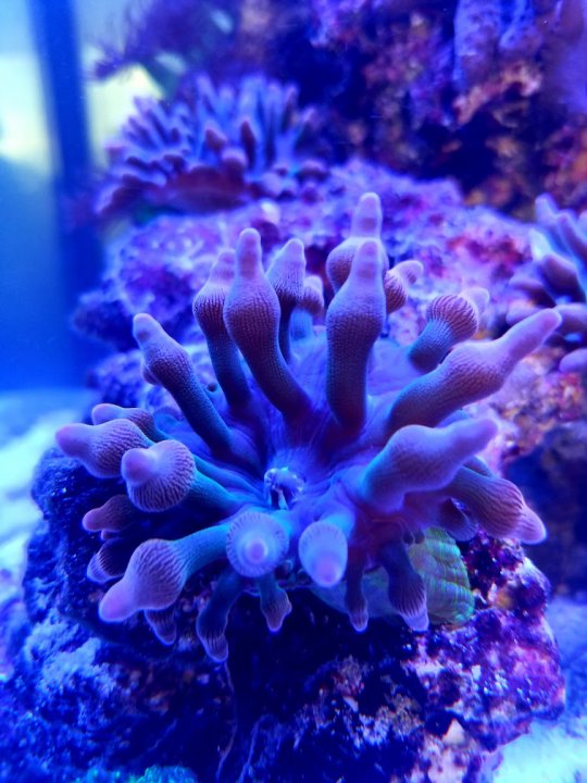 20180127_143149.jpg