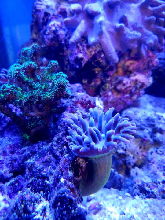 20180223_160736 (1).jpg