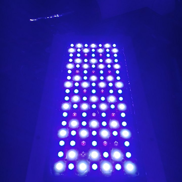 20180320_121842_HDR.jpg