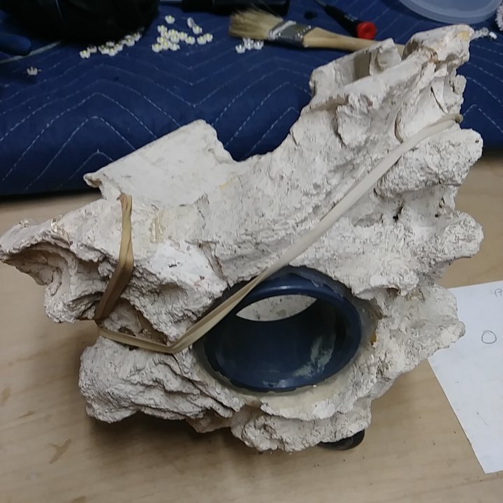 20180321_165330.jpg
