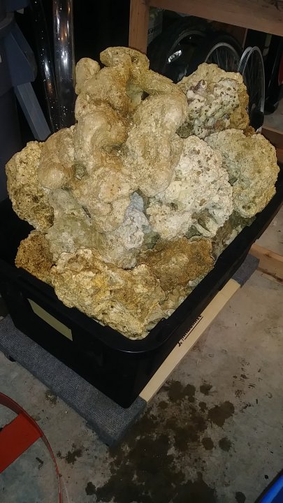20180405_120521.jpg