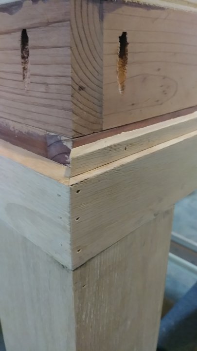 20180408_163204.jpg