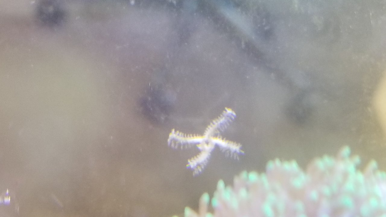 20180423_135905.jpg