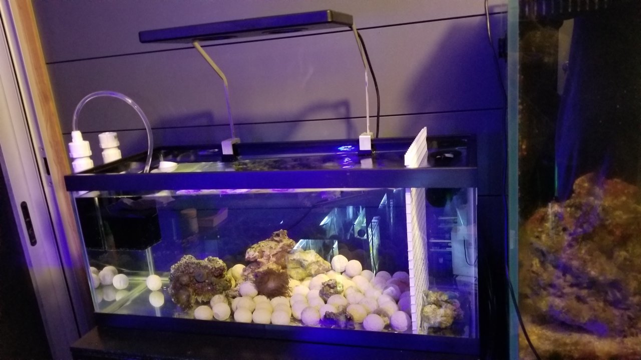20180625_020506.jpg