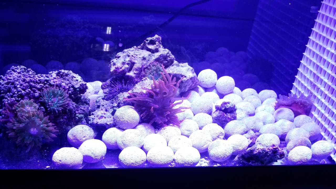 20180625_021350.jpg