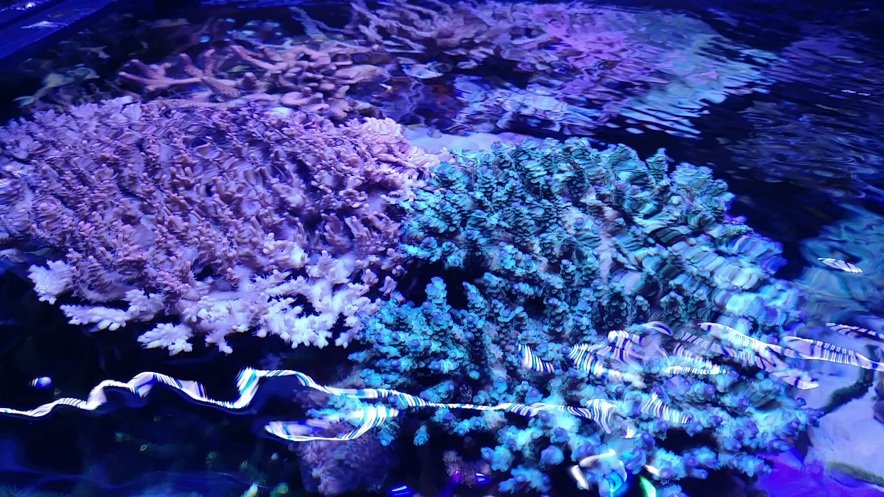 20180708_171104.jpg