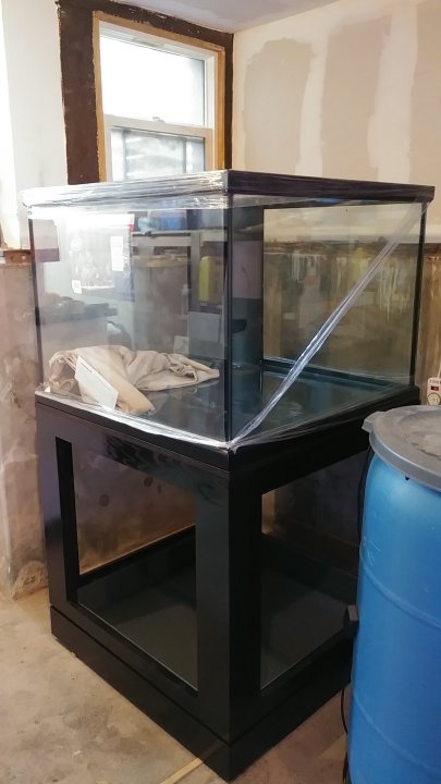 20180731_160413.jpg