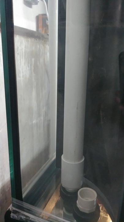 20180812_183103.jpg