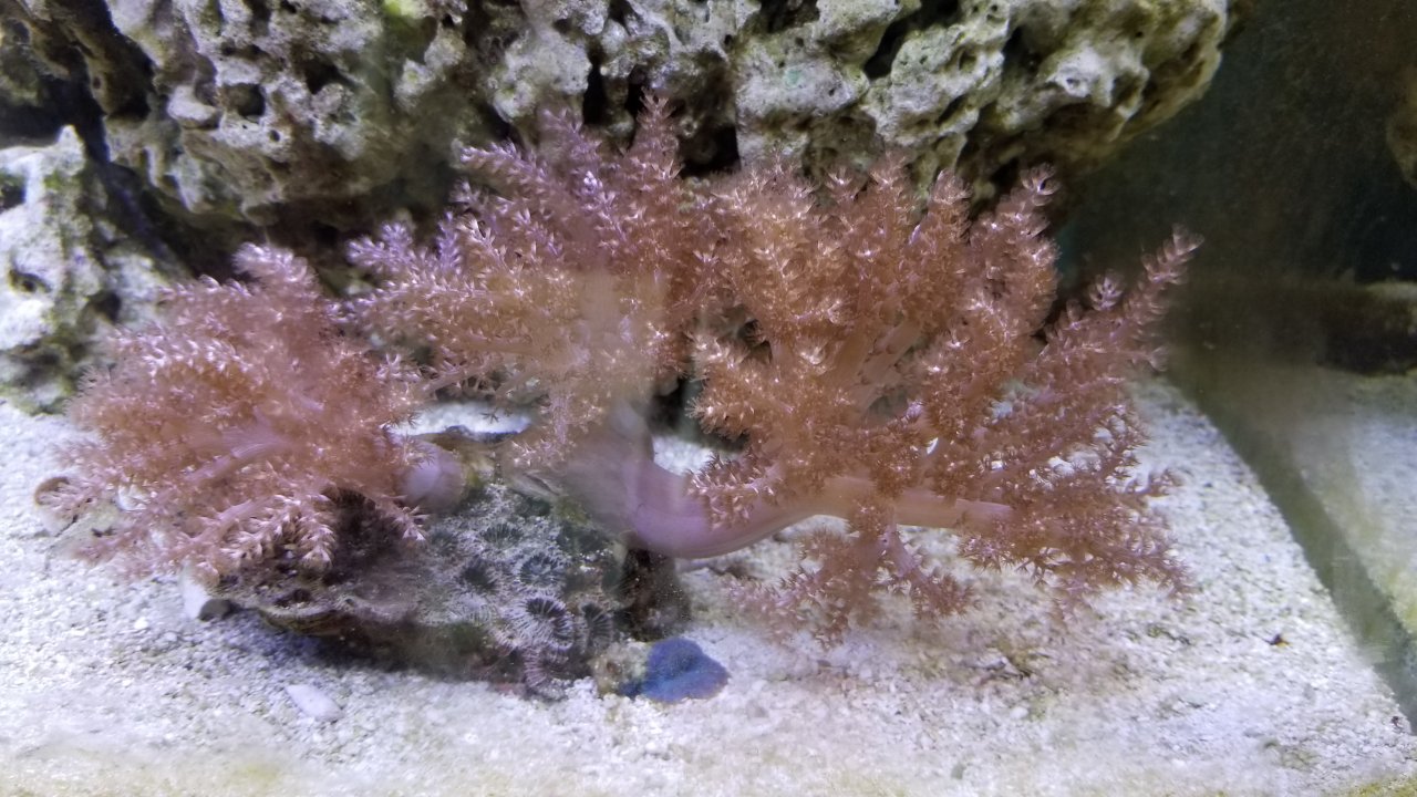 20180813_151700.jpg