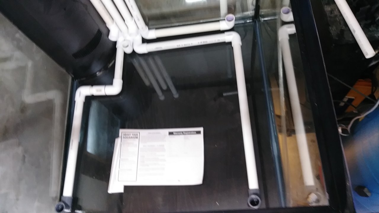 20180814_174129.jpg