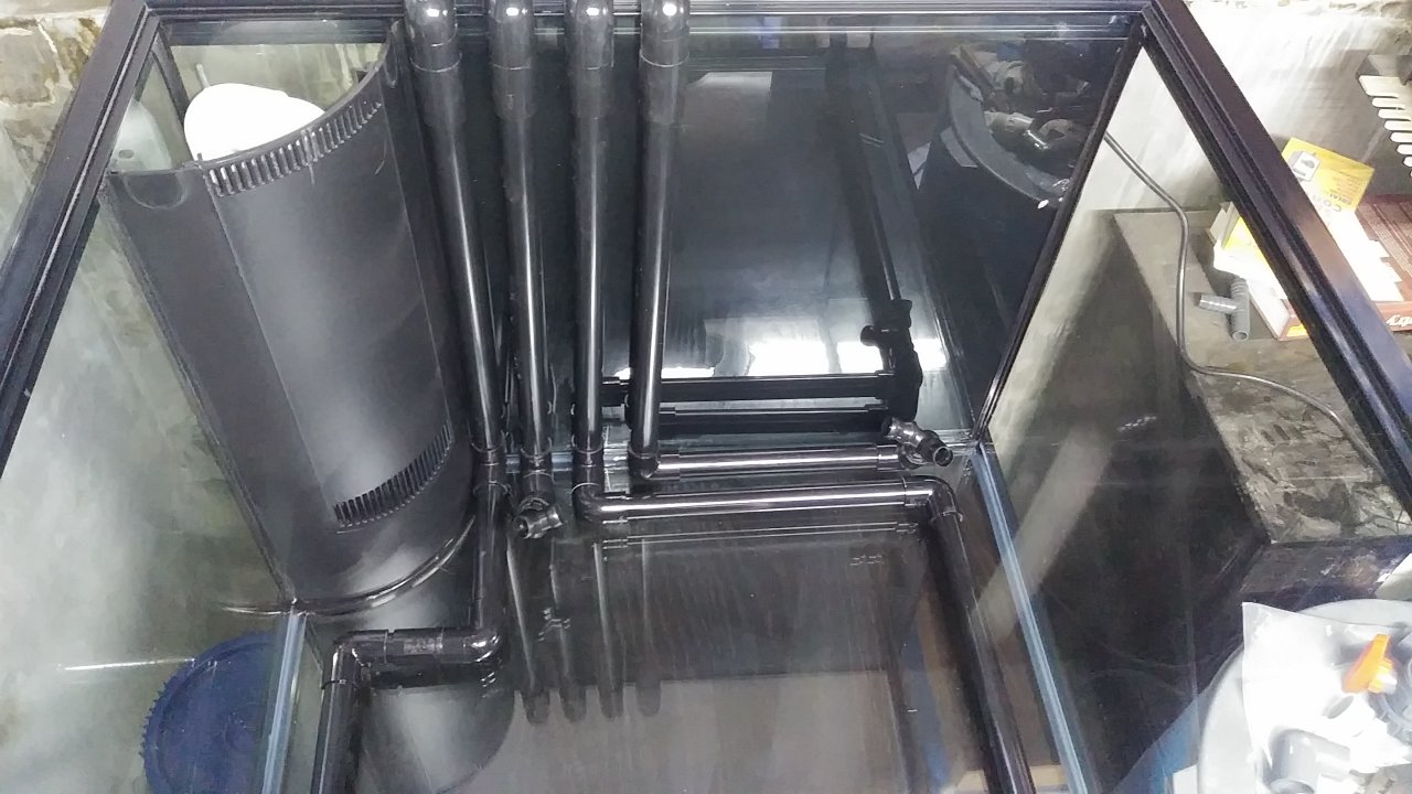 20180904_151702.jpg