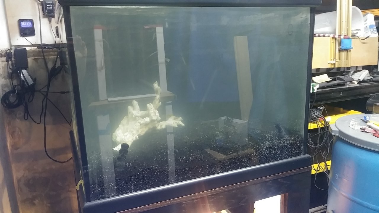 20180914_201947.jpg