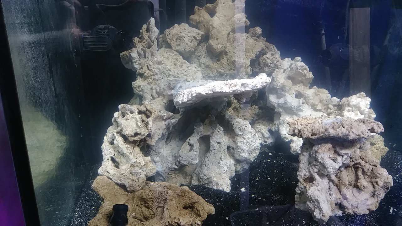 20180918_083211.jpg